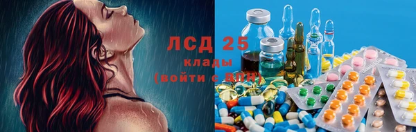 PSILOCYBIN Красноперекопск