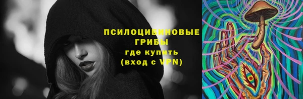 МДПВ Краснослободск