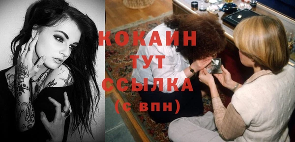 МДПВ Краснослободск
