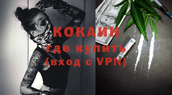 МДПВ Краснослободск