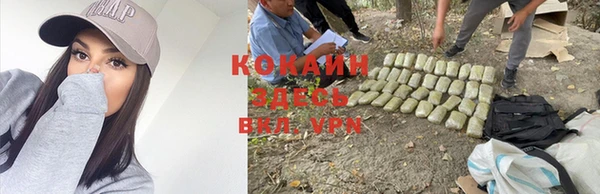 МДПВ Краснослободск