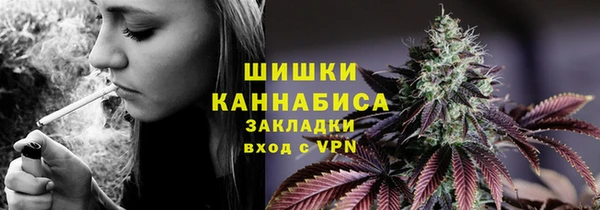 МДПВ Краснослободск