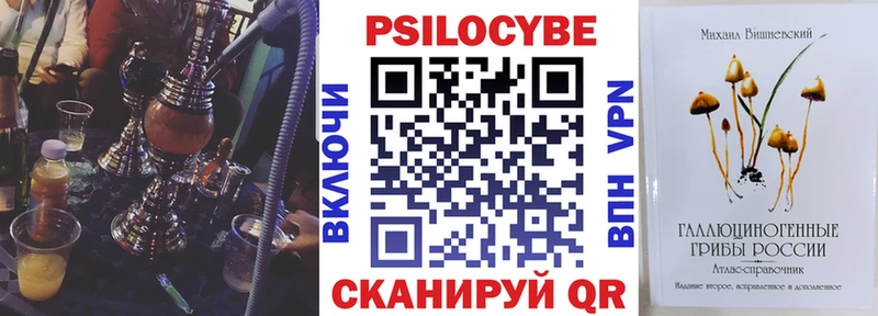 Галлюциногенные грибы Psilocybine cubensis  продажа наркотиков  Городище 